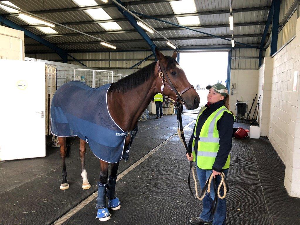 Instone Air transporting zoological and exotic animals